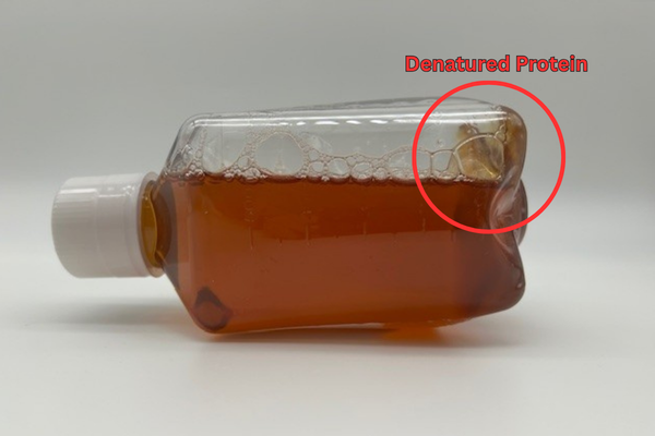 Denatured protein in serum